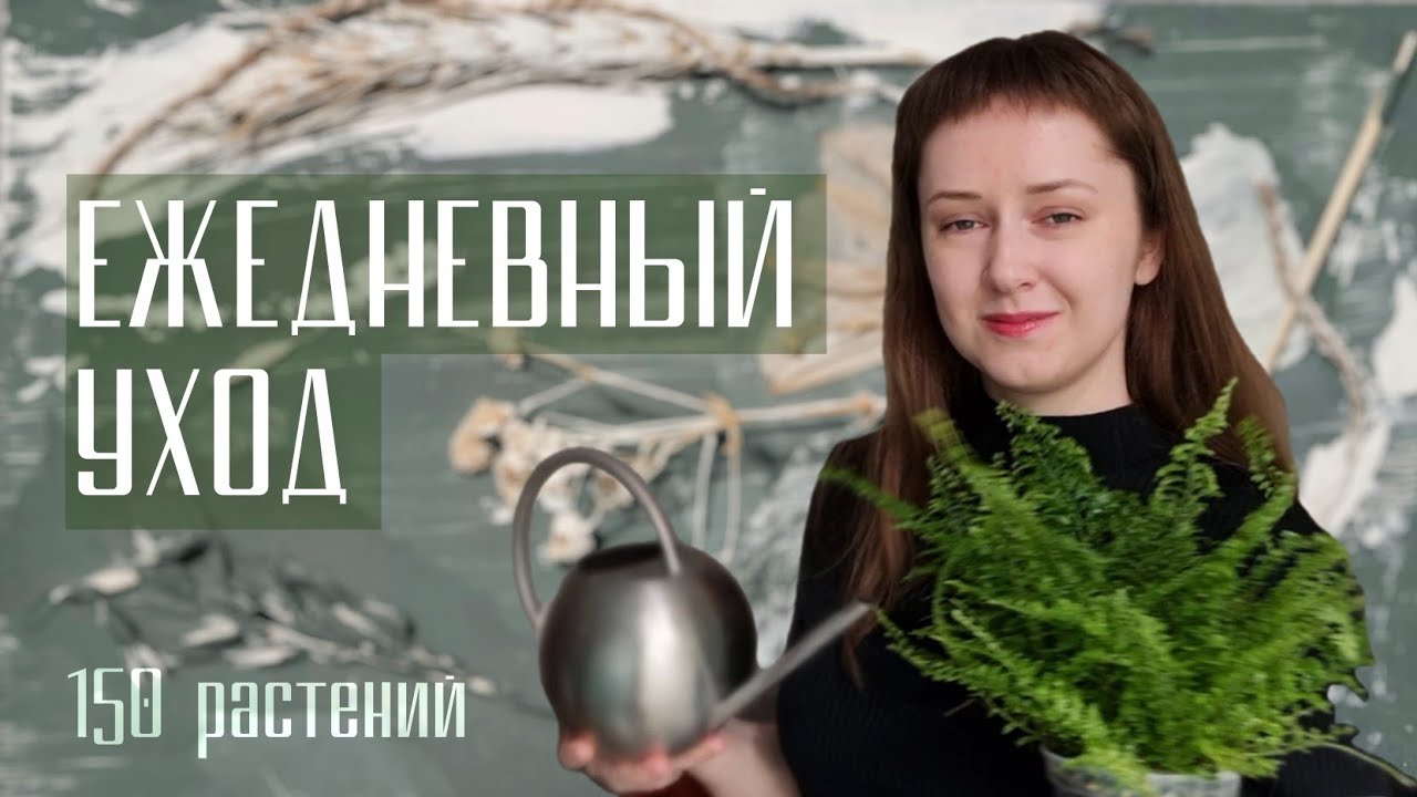 День ухода за растениями 🌿 полив и пересадки