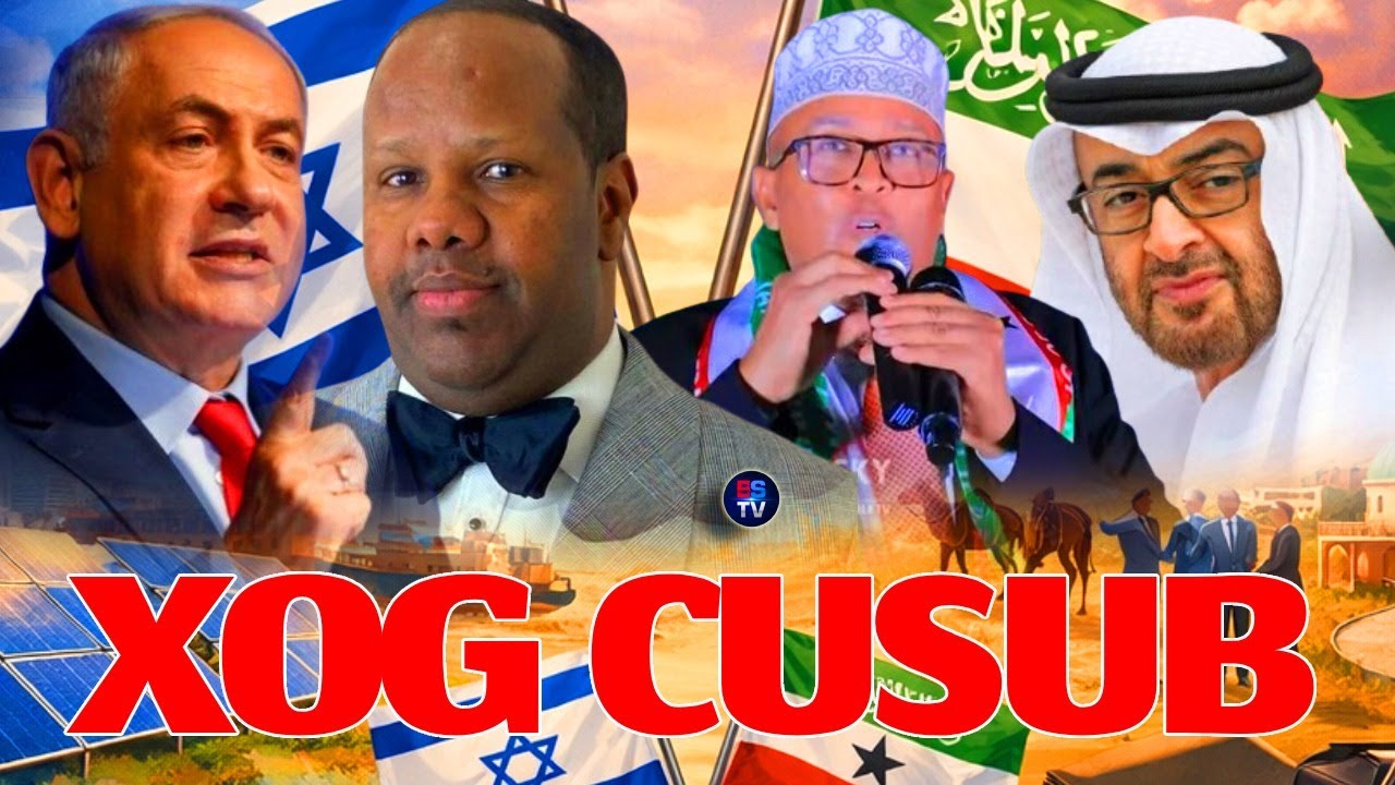 SOMALIDA MAREYKANKA OO WEERAR TOOS AH LAGU SOO QAADAY | UAE OO CARARAY