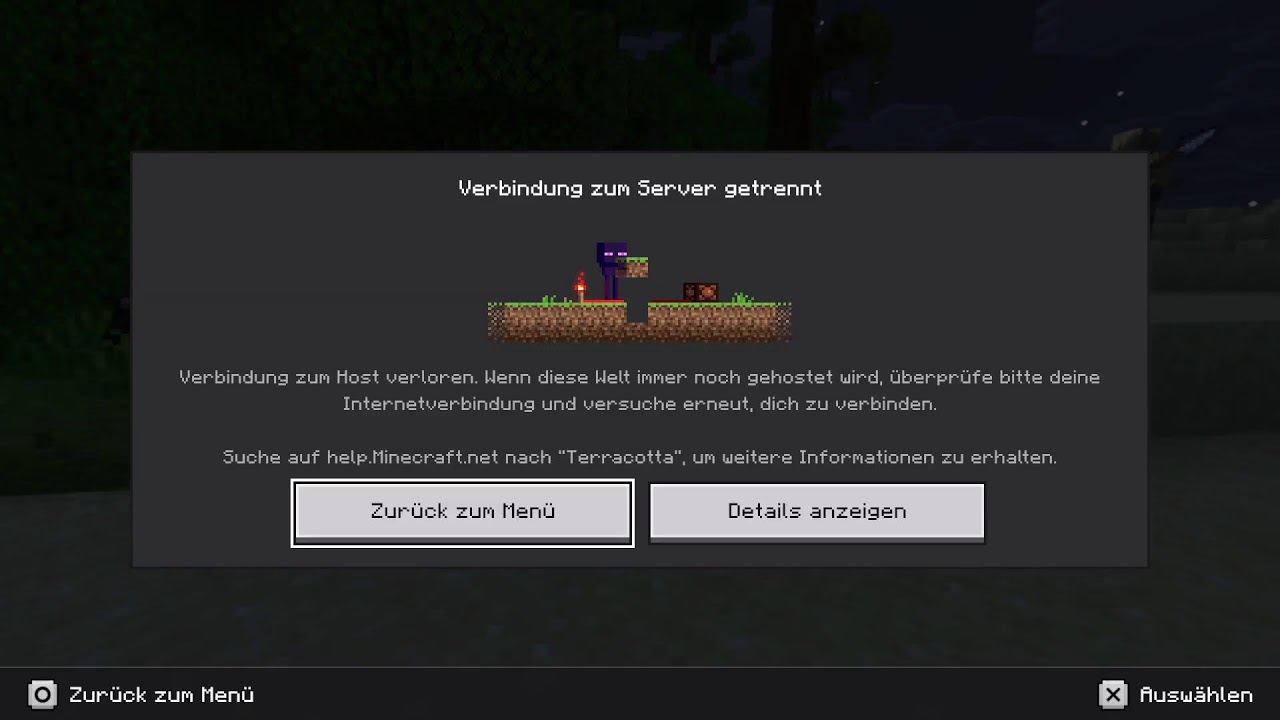 Heute spielen wir Minecraft mit Niklas.