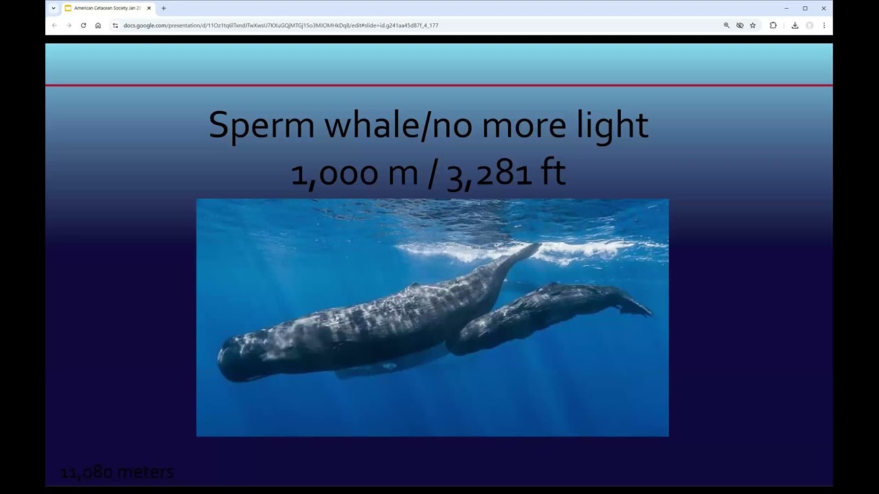 Jan 25 Monthly Speaker Chad King 