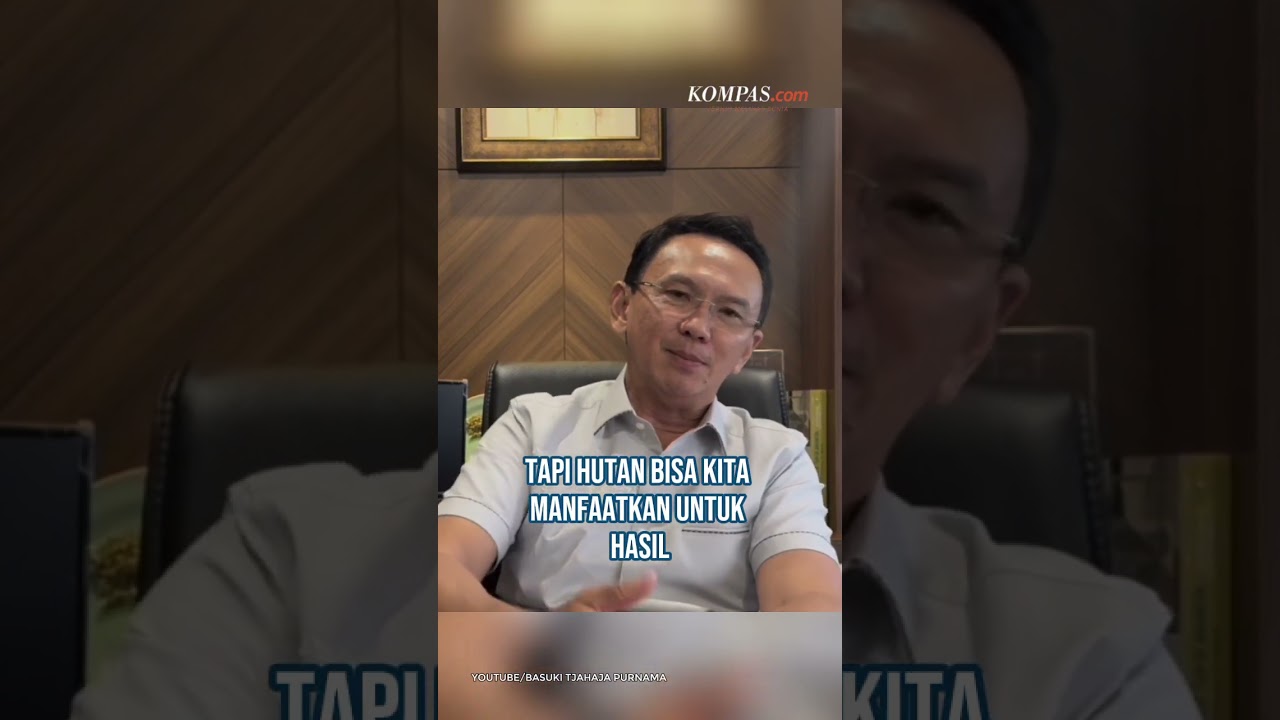 Ahok: Bekas Tambang Boleh Ditanami Sawit, tapi Jangan Hutan Papua