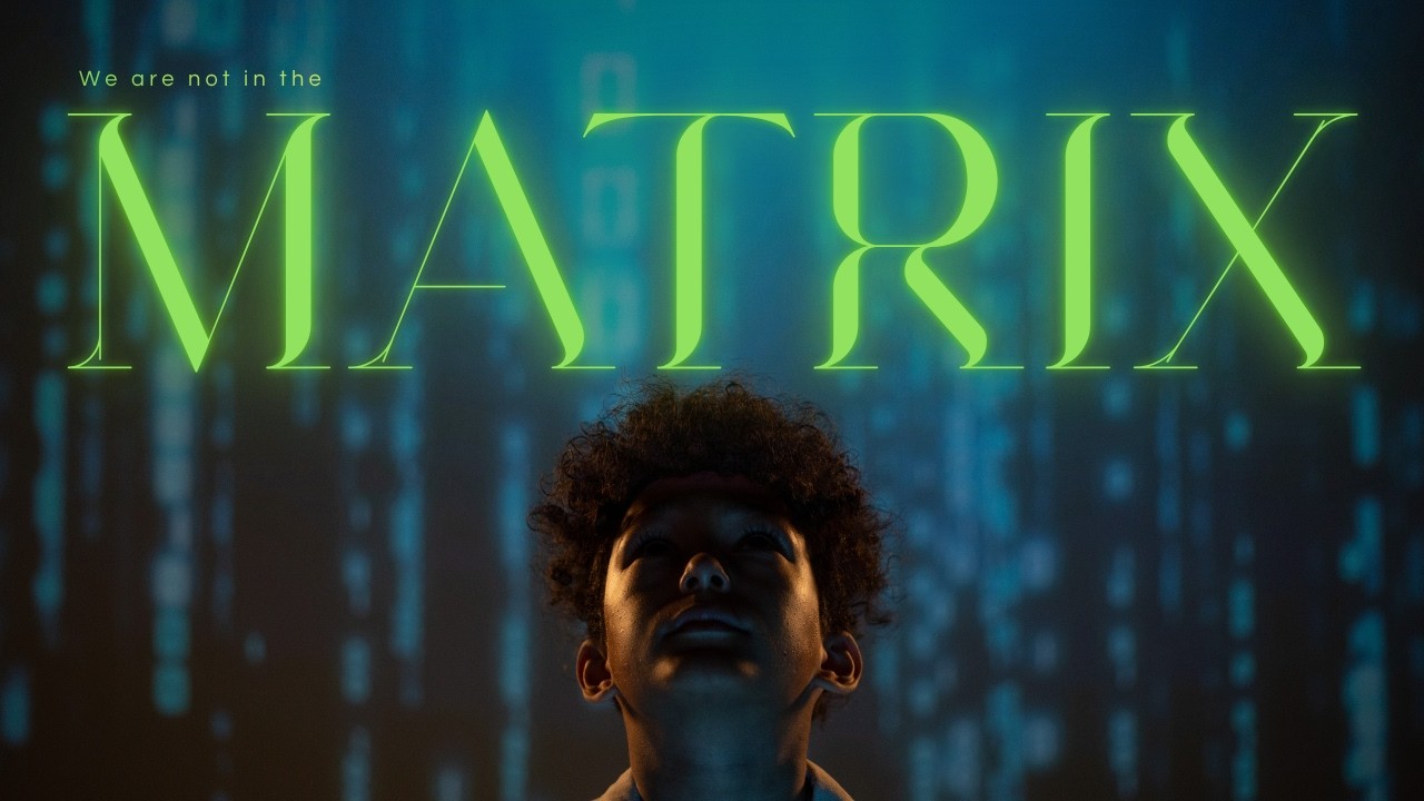WE ARE NOT IN THE MATRIX#TheBlackSwanFlight