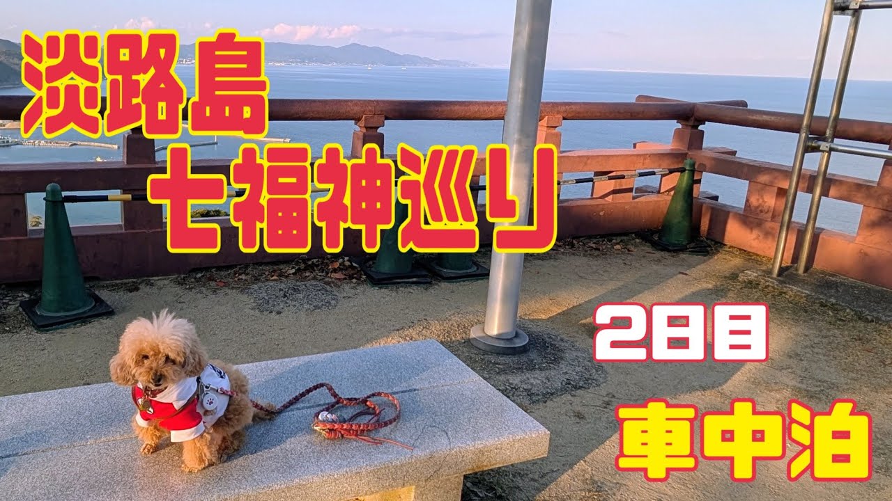 淡路島七福神二日目　#トイプードル #淡路島七福神めぐり #車中泊 #おパンツカット