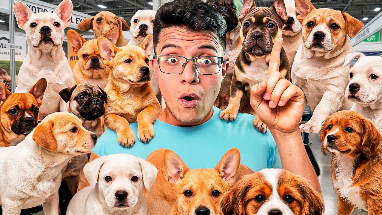 Entré a una Expo de Perros que NADIE Conoce (Sin Cortes)