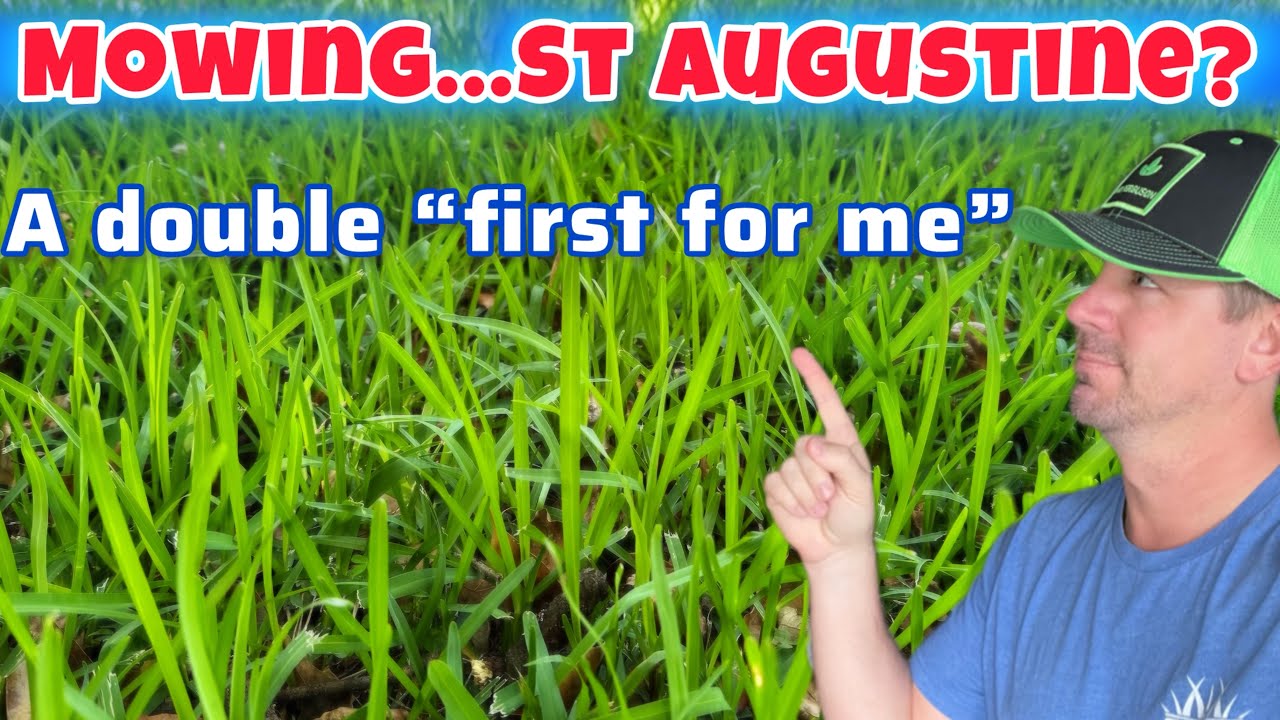Mowing St. Augustine For The First Time EVER! (oddly satisfying)