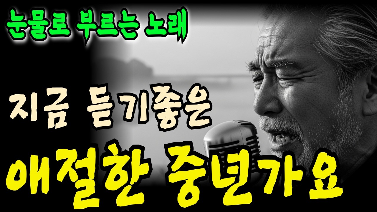 눈물의 인생 트로트 메들리 | 세월이 야속하고 내 인생이 허무할 때 듣는 노래 | 빈손으로 가는 인생길, 가슴을 적시는 애절한 트로트 5곡