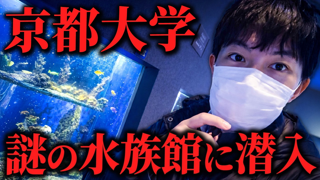 京都大学が経営する水族館に行ってみた！【約100年の歴史】