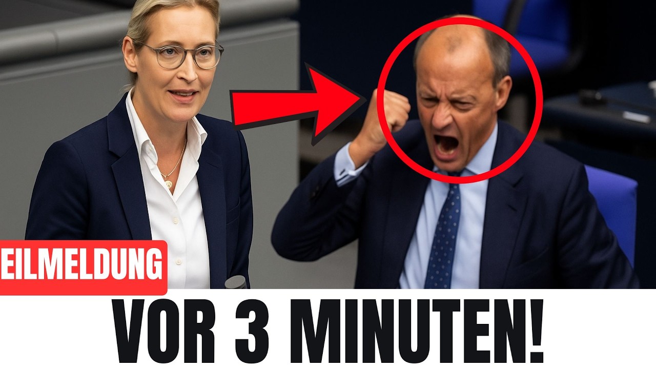 Koalition bricht auseinander &ndash; Weidel stellt Merz ultimative Forderung und Merz rastet aus !