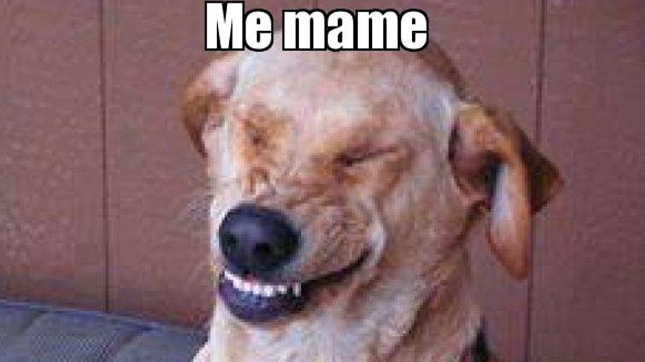 ME MAME