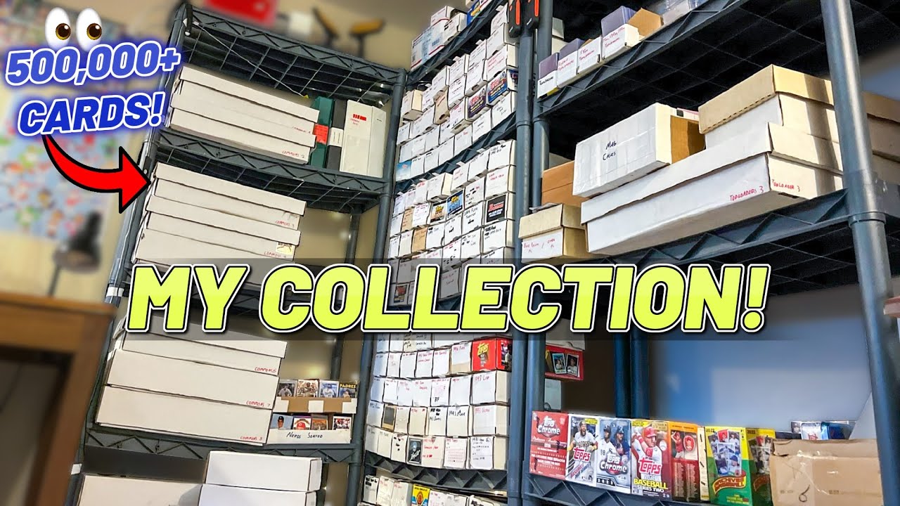 Here's How I Organize Over 500,000+ Sports Cards In My Collection! *COLLECTION SHOWCASE*