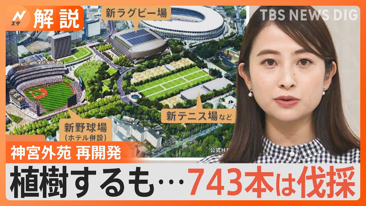 「神宮外苑　再開発に反対の声」神宮球場は建設から93年も経過　再開発による樹木伐採が問題に　743本は伐採【Nスタ解説】｜TBS NEWS DIG