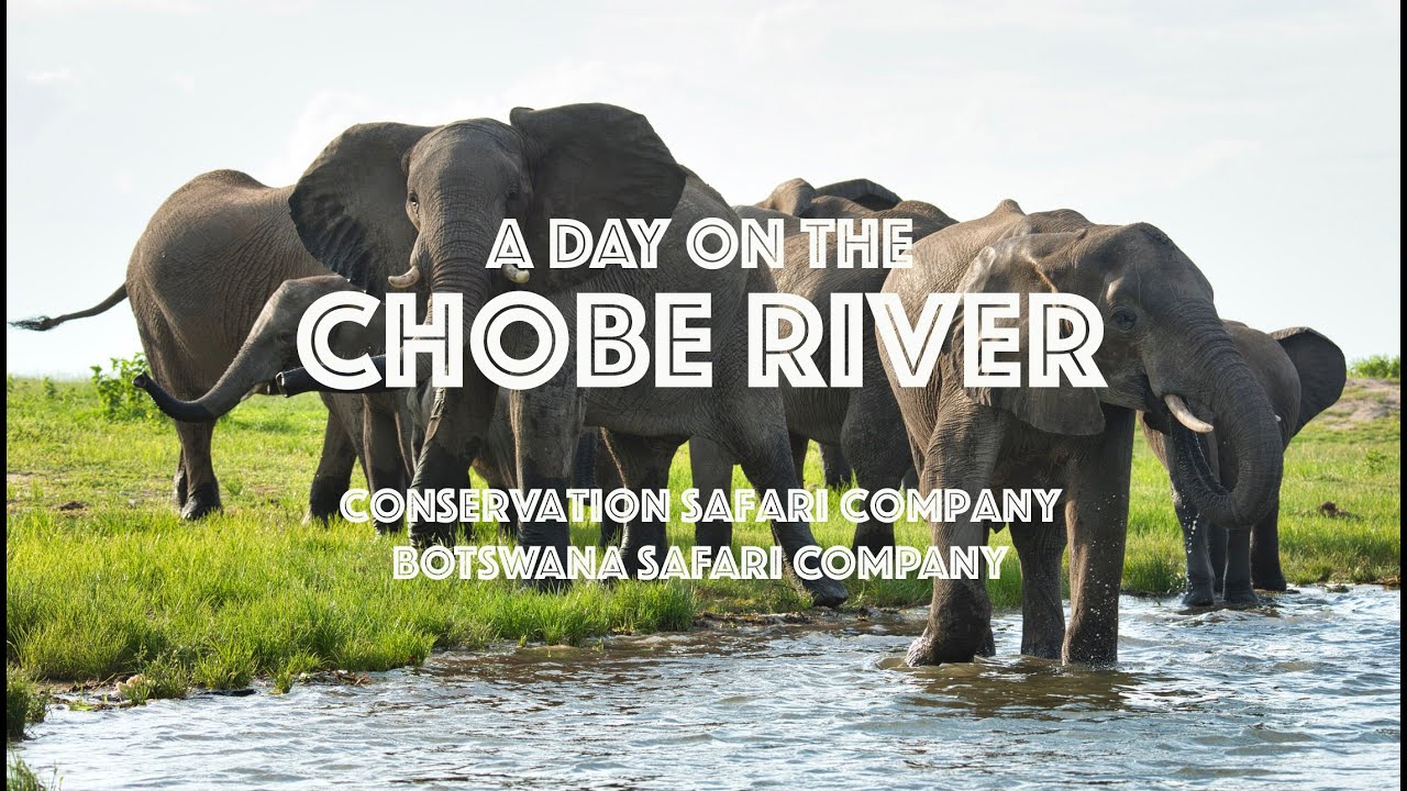 Chobe River   Botswana Safari Company