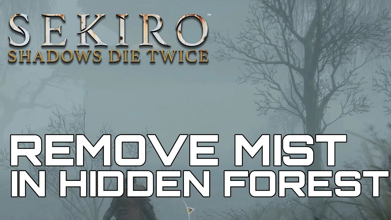 Sekiro Shadows Die Twice HOW TO REMOVE THE MIST IN HIDDEN FOREST