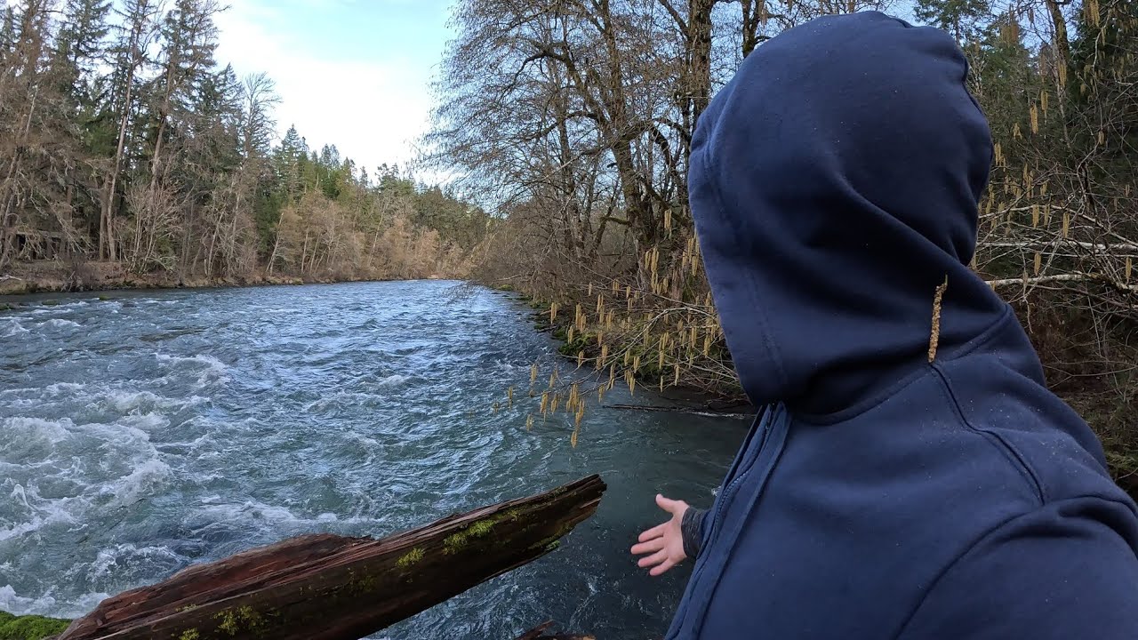 Over The Bridge And Down To The River (Road Trip To The Middle Fork Of The Willamette River Oregon)