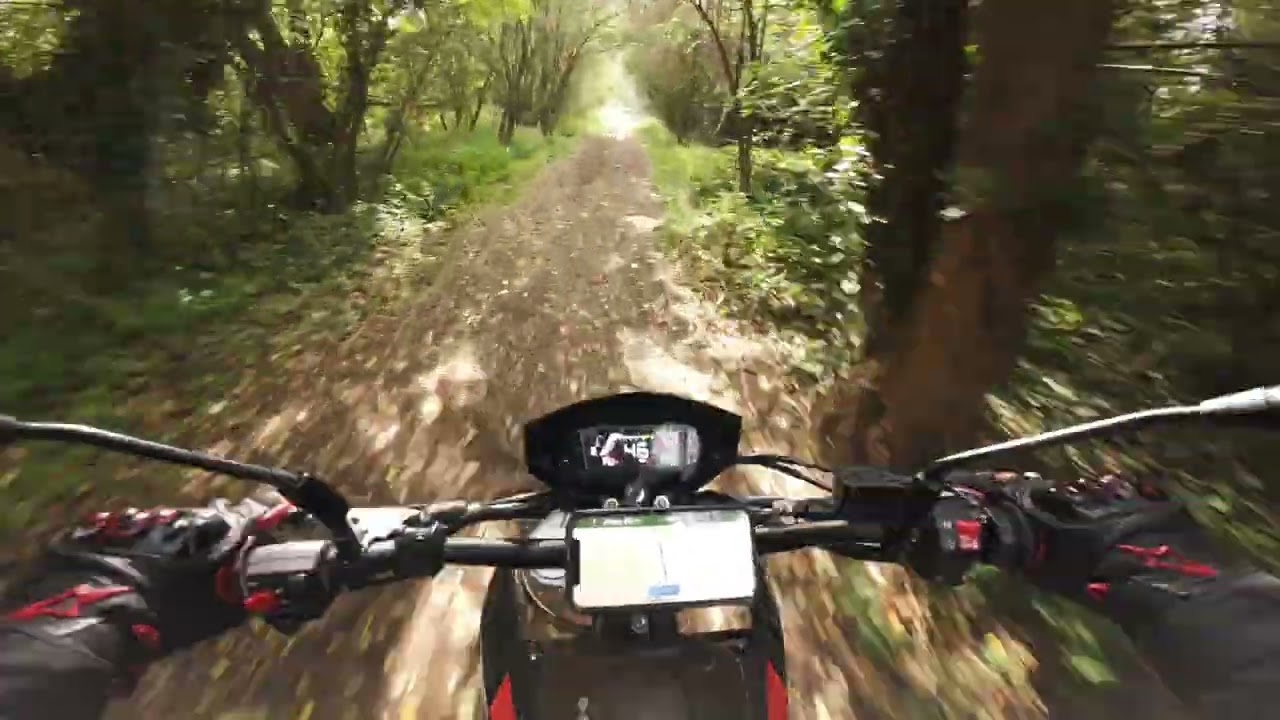 Off-road in the forest with Aprilia RX 125 - autumn vibe 4K