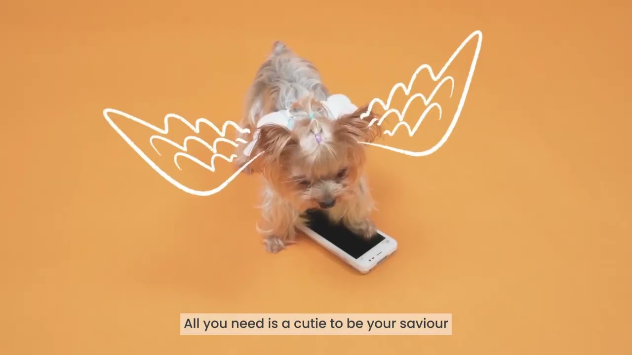 Go paperless with PAX A50 Android Mobile device