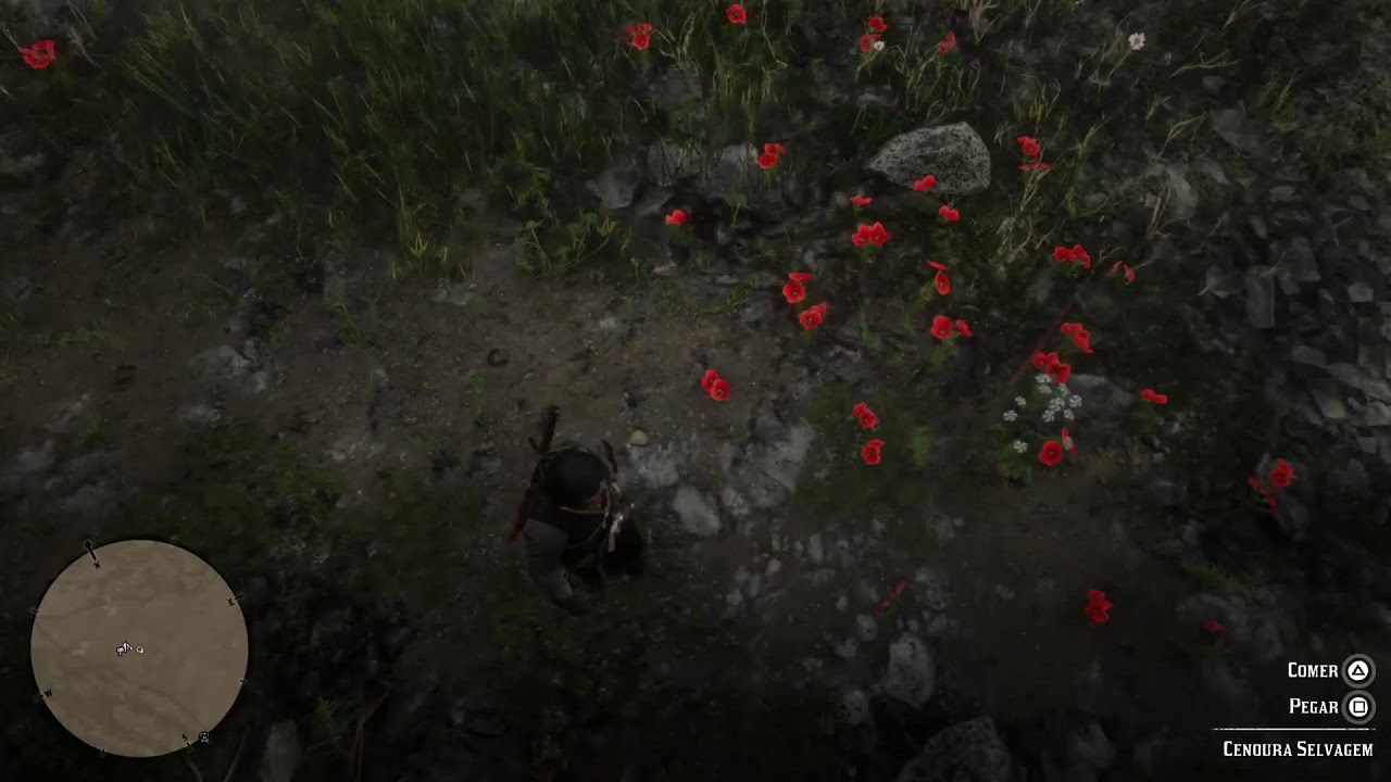 Red Dead Redemption 2 platinando
