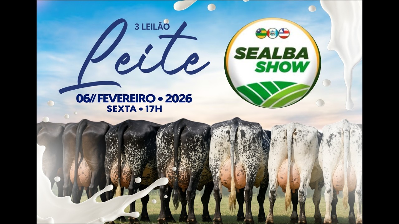 3º LEILÃO LEITE SEALBA