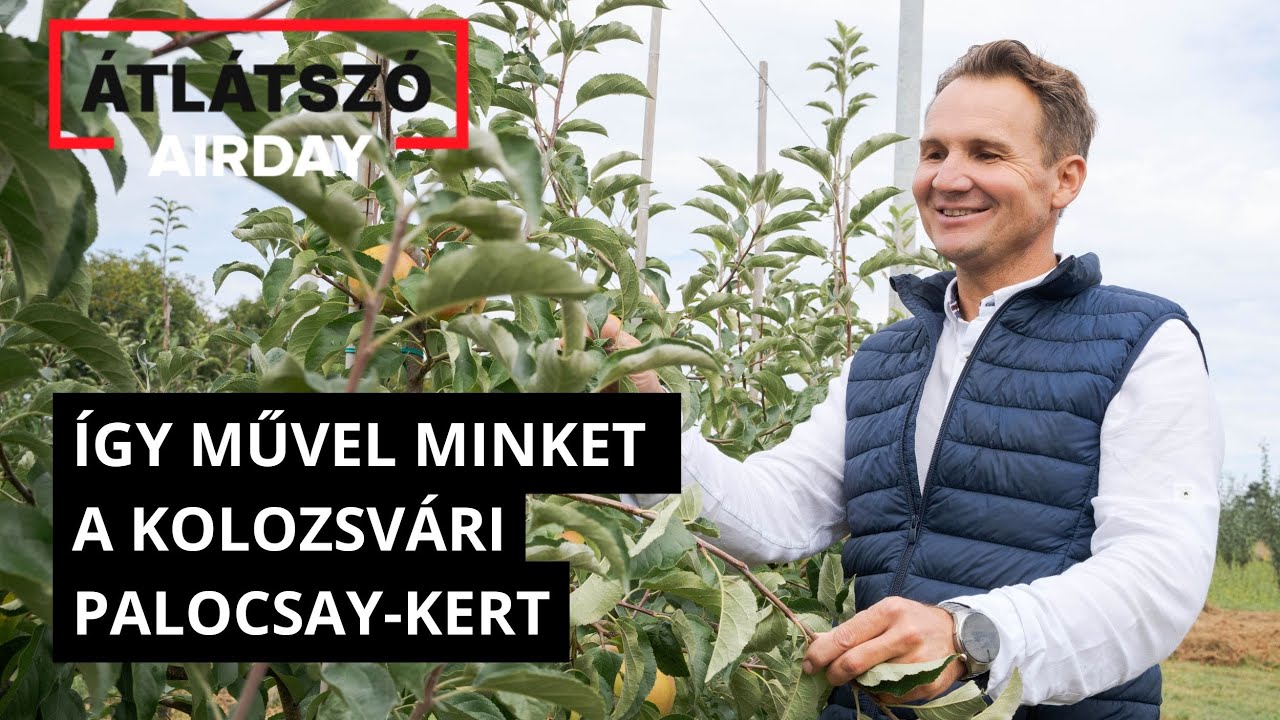 Új időkhöz új ízek: kivi, datolyaszilva, füge terem Kolozsváron?