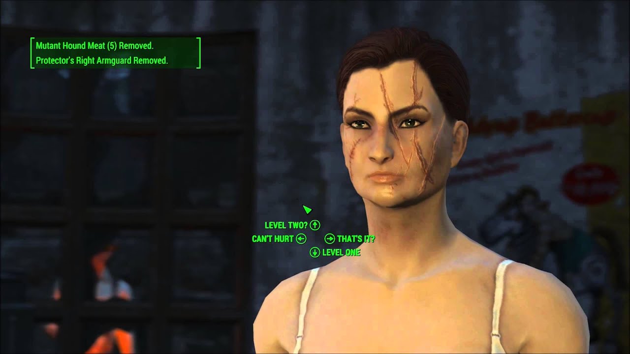 Fallout 4 Charles View Amphitheater