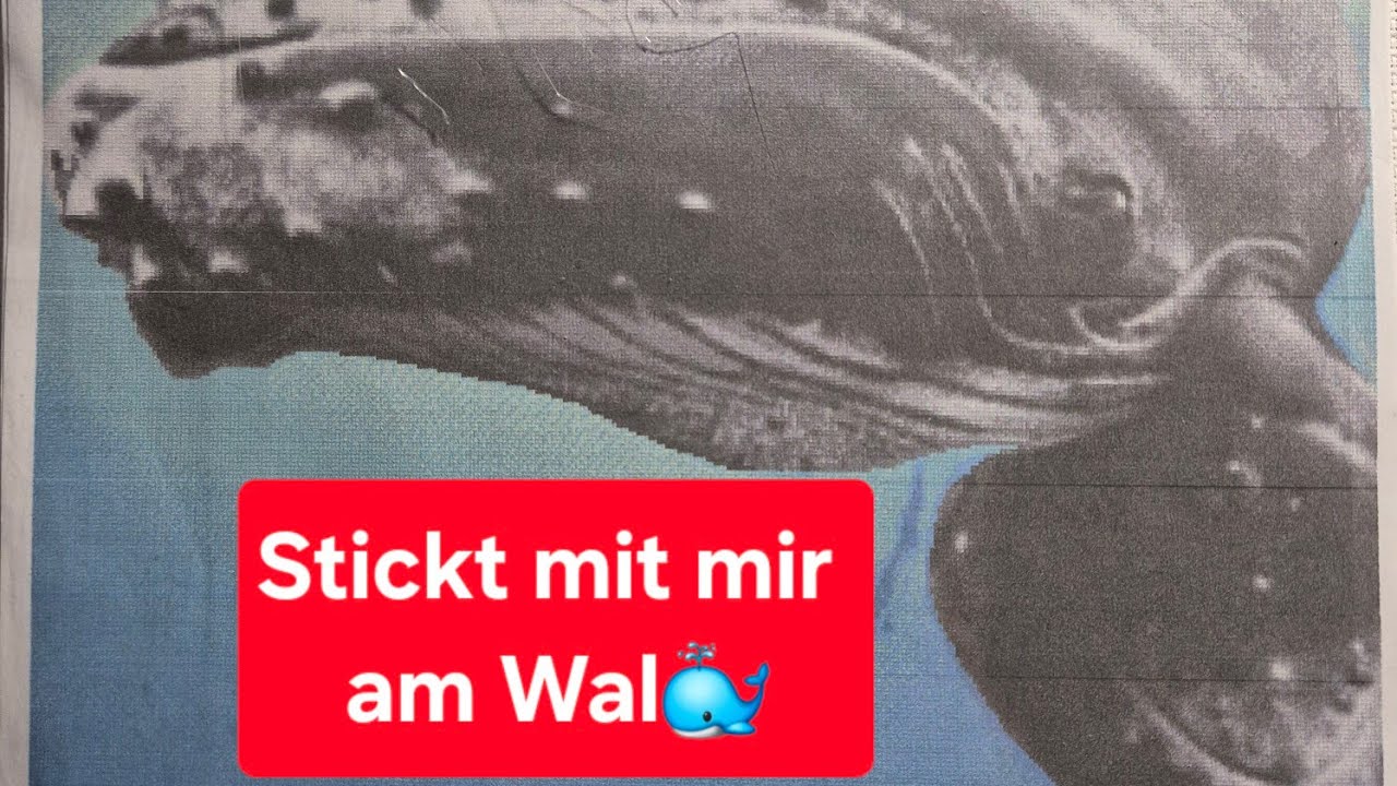 Stickt mit mir. Neues und Neues Spielzeug😊
