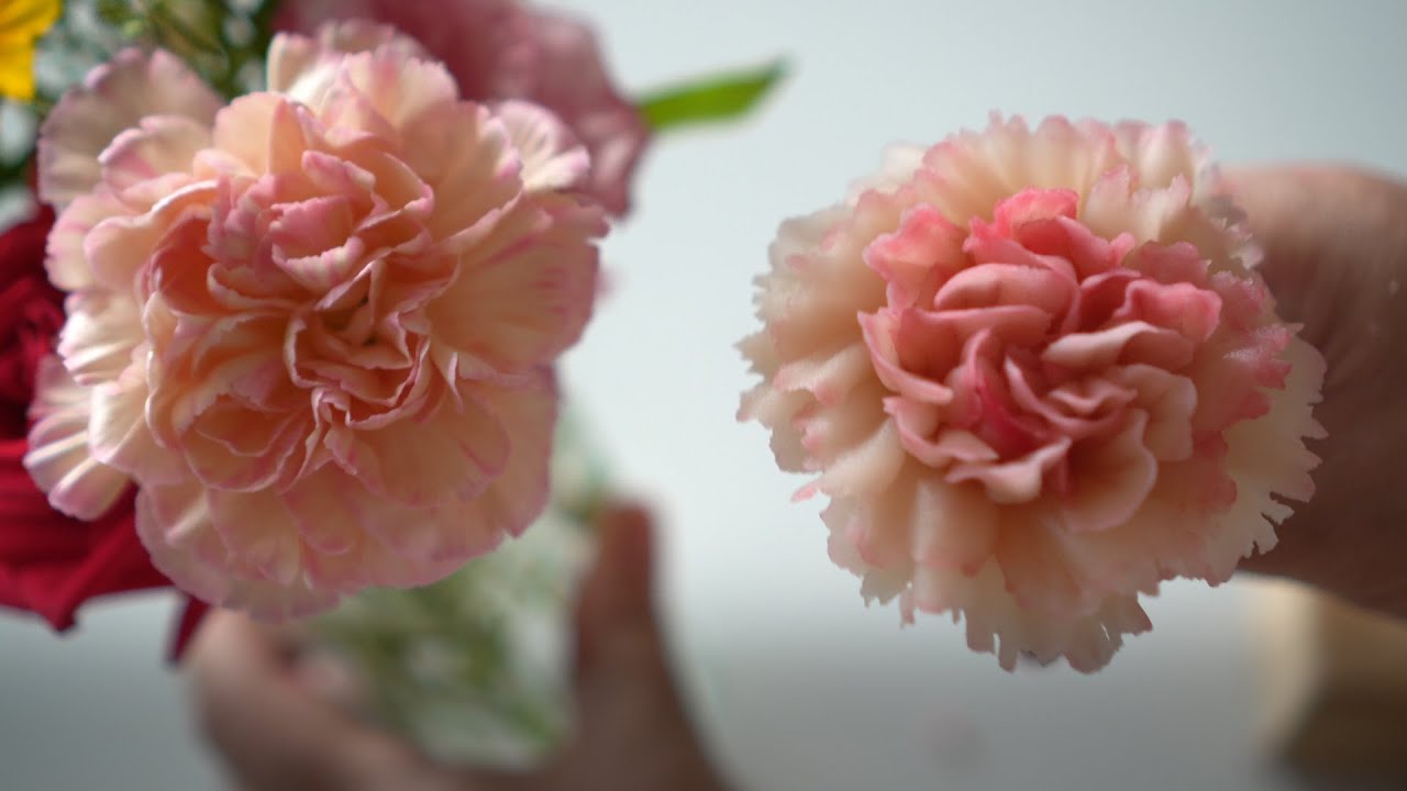 지오지아 카네이션 꽃짜기 Carnation flower piping technique
