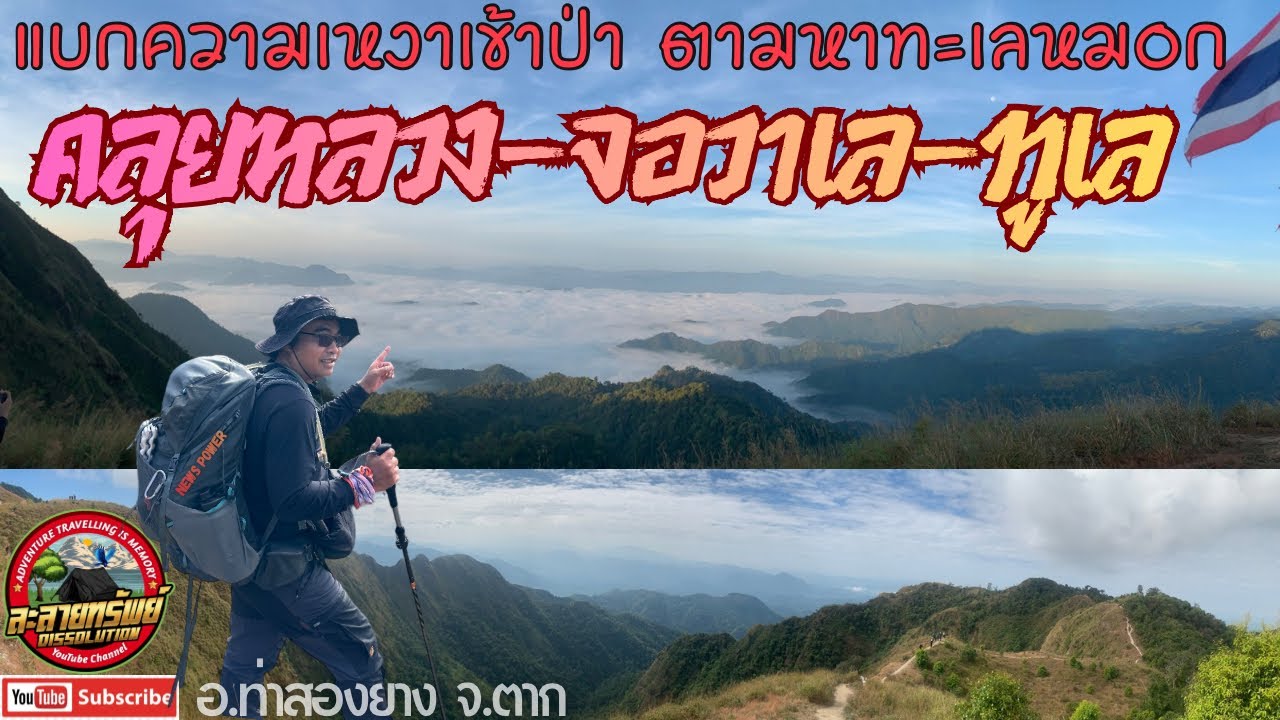 96 แบกความเหงาเข้าป่า ตามหาทะเลหมอก คลุยหลวง จอวาเล ทูเล อ.ท่าสองยาง จ.ตาก #เดินป่า #camping #travel
