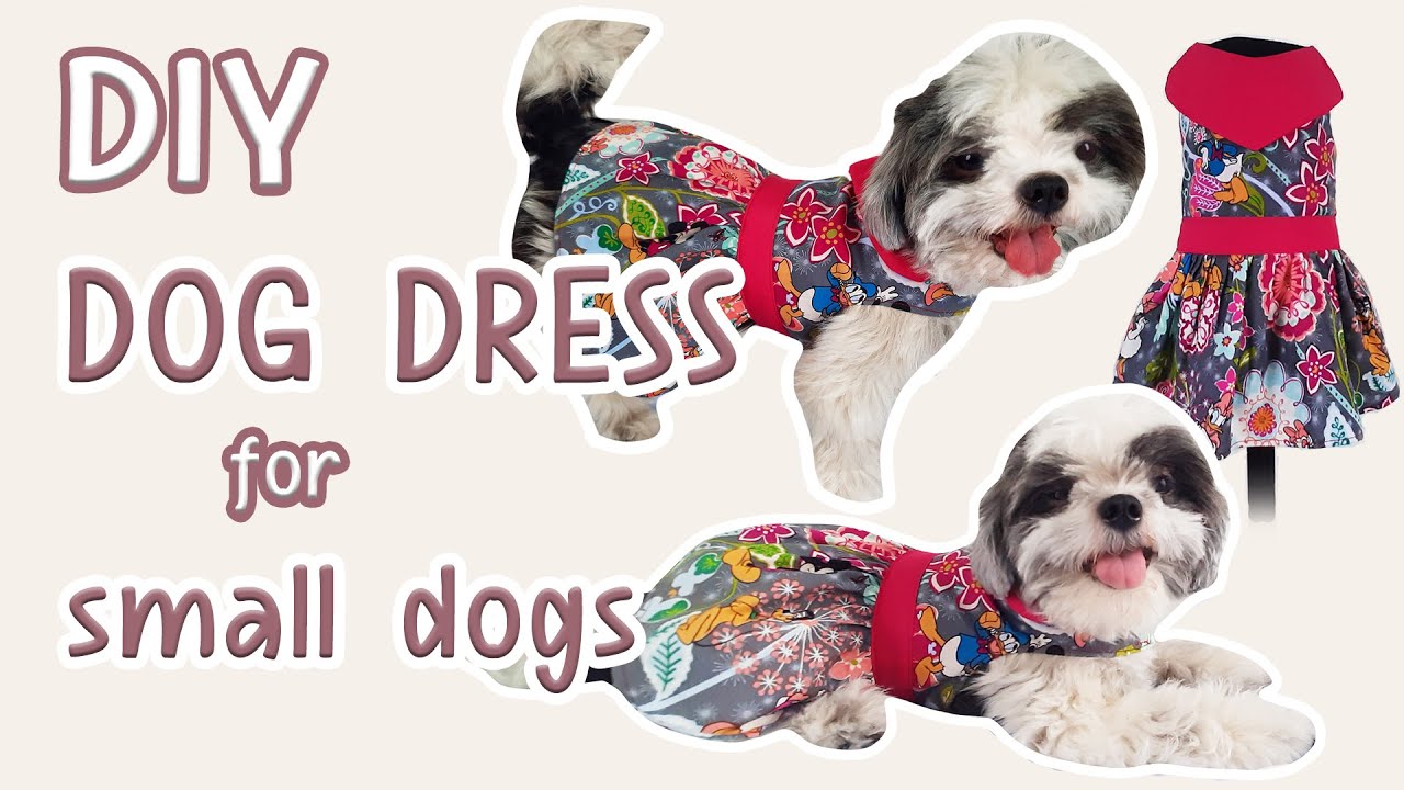 🐶DOG DRESS FOR SMALL DOGS TUTORIAL | SMALL SIZED SHIH TZU DRESS DIY | SEWING EOMMA❤️