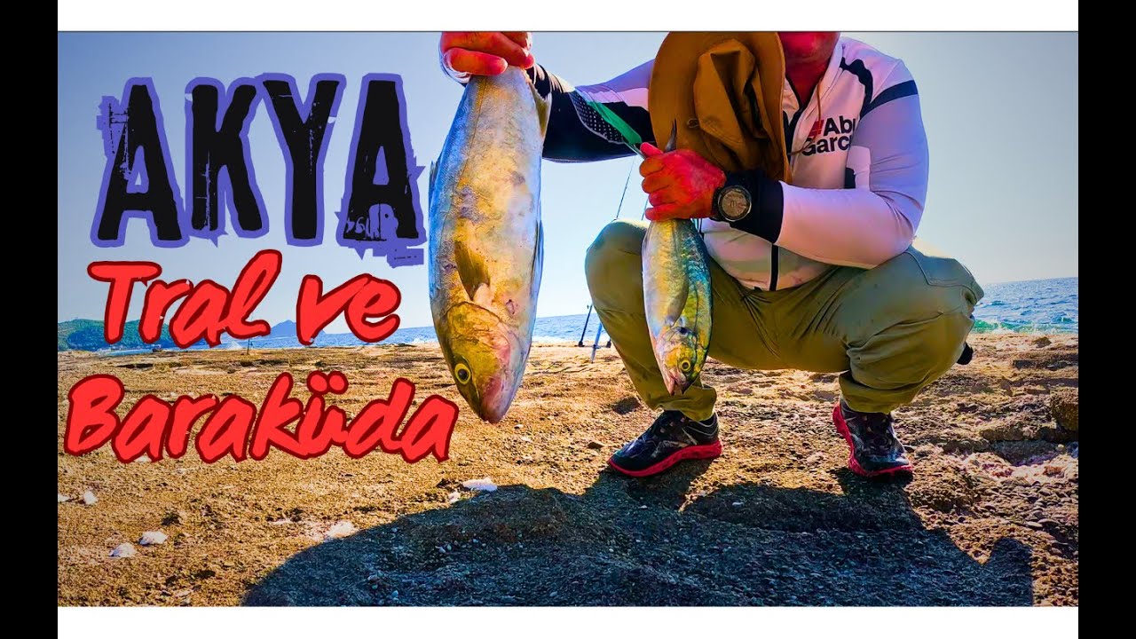 Akya, Tral ve Baracuda Avım #balık #fishing #fish #balik #balikavi #lurefishing #barracuda #balıkavı