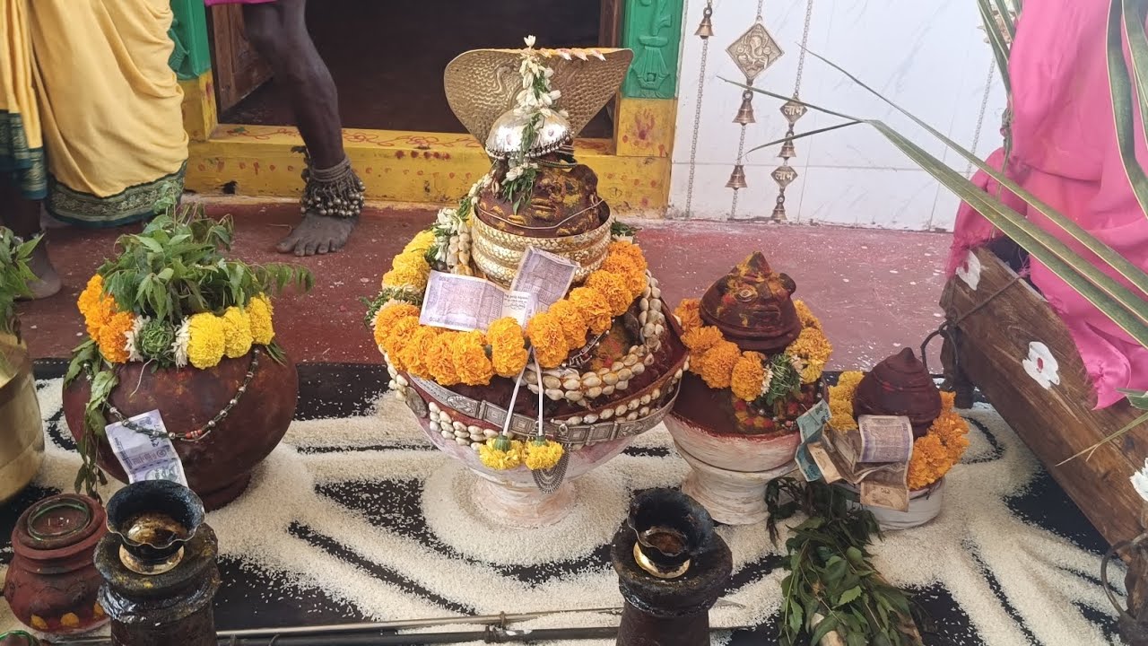 ఎల్లమ్మ మల్లయ్య స్వామి 🙏 గంగ స్నానం15/02/2026 బిజినపల్లి 