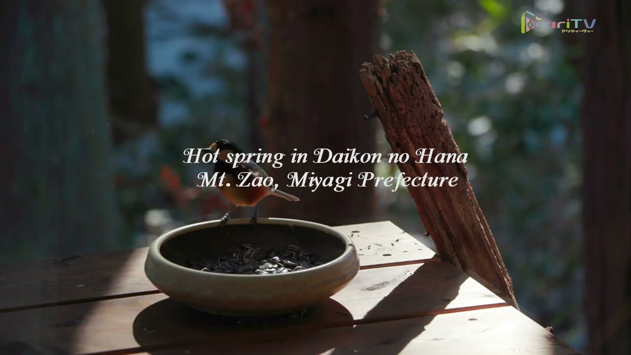 Beautiful Hotspring Resort: Daikon No Hana, Zao Miyagi |4K Video