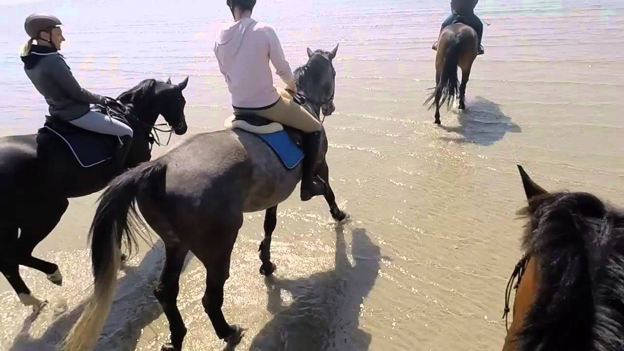 ST Peter Ording Reiten am Meer der Film
