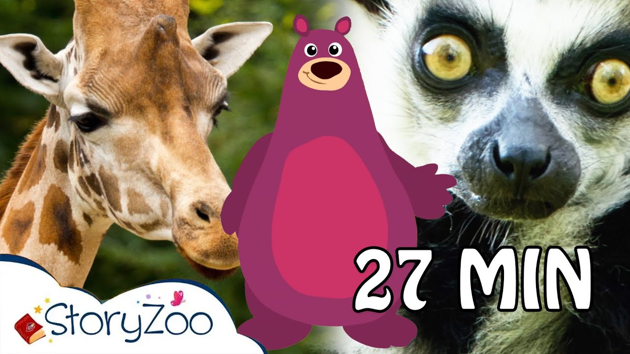 StoryZoo op avontuur in de Dierentuin 🦁 | Compilatie 🙈 | Educatieve video's voor kinderen