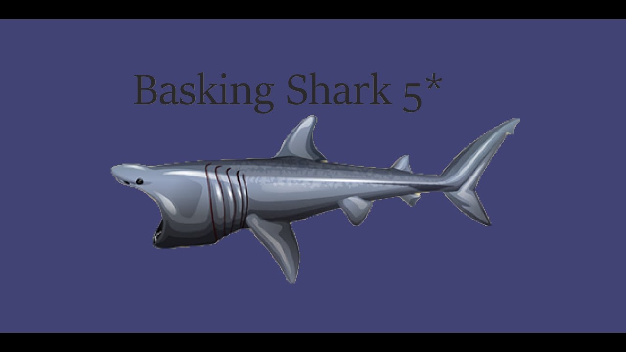 Fishao -5* Basking Shark