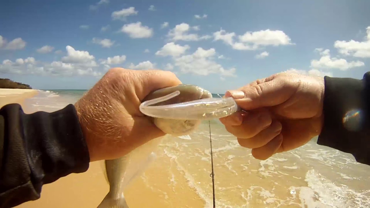 Surf Fishing with Soft Plastics