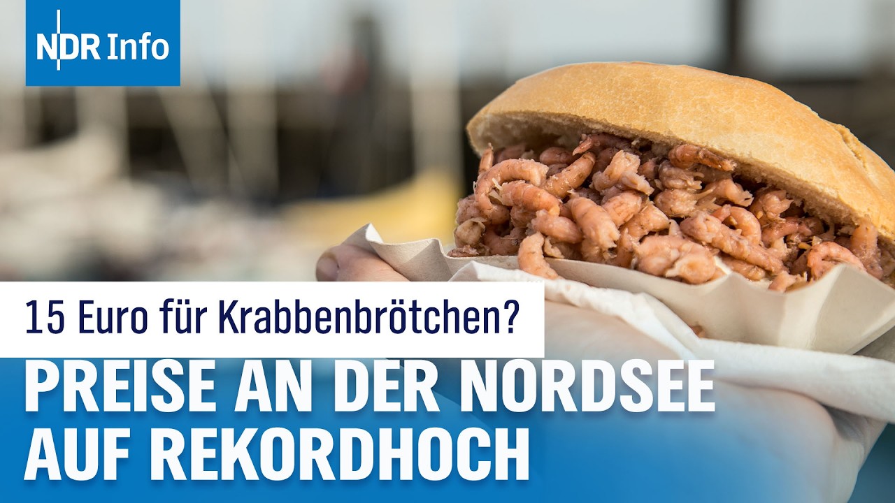 Bis zu 15 Euro für ein Krabbenbrötchen! - Luxusgut statt Küstensnack? | NDR Info