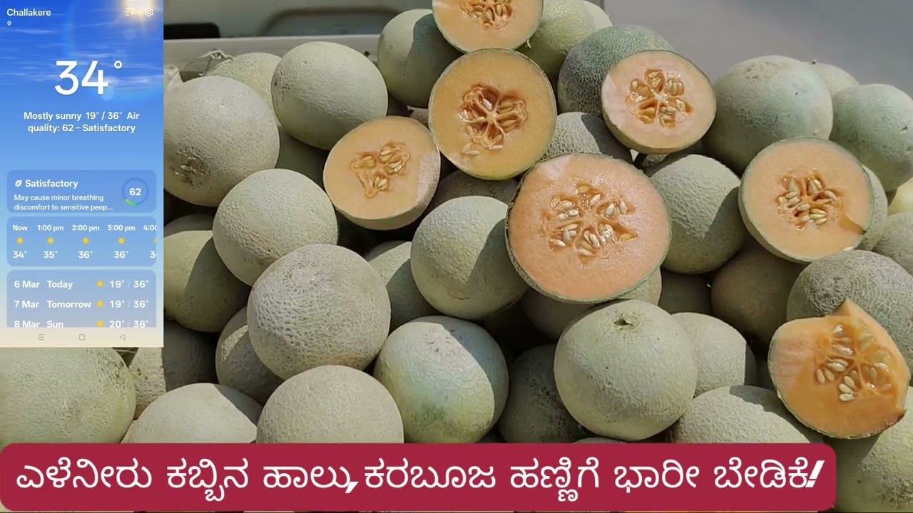 ಚಳ್ಳಕೆರೆ ಬೇಸಿಗೆಯ ಬಿಸಿಲಿಗೆ ಪರಿಹಾರ! ಎಳೆನೀರು ತಂಪುಪಾನೀಯ ಕರಬೂಜ‌. ಕಲ್ಲಂಗಡಿ ಹಣ್ಣುಗಳಿಗೆ ಭಾರಿ ಬೇಡಿಕೆ.