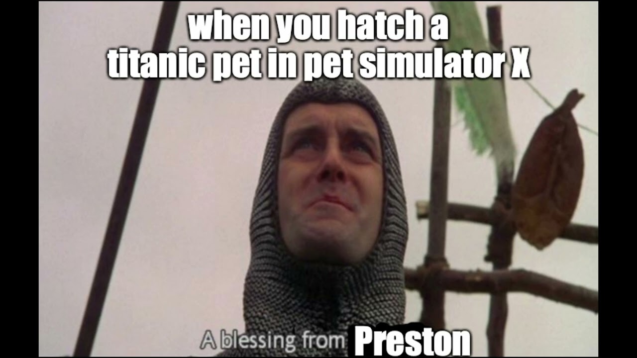 Pet Simulator X Memes