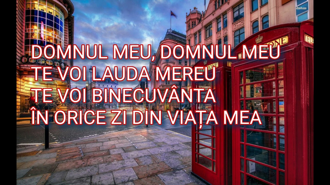 NEGATIV DOMNUL MEU (fratii din bacesti)