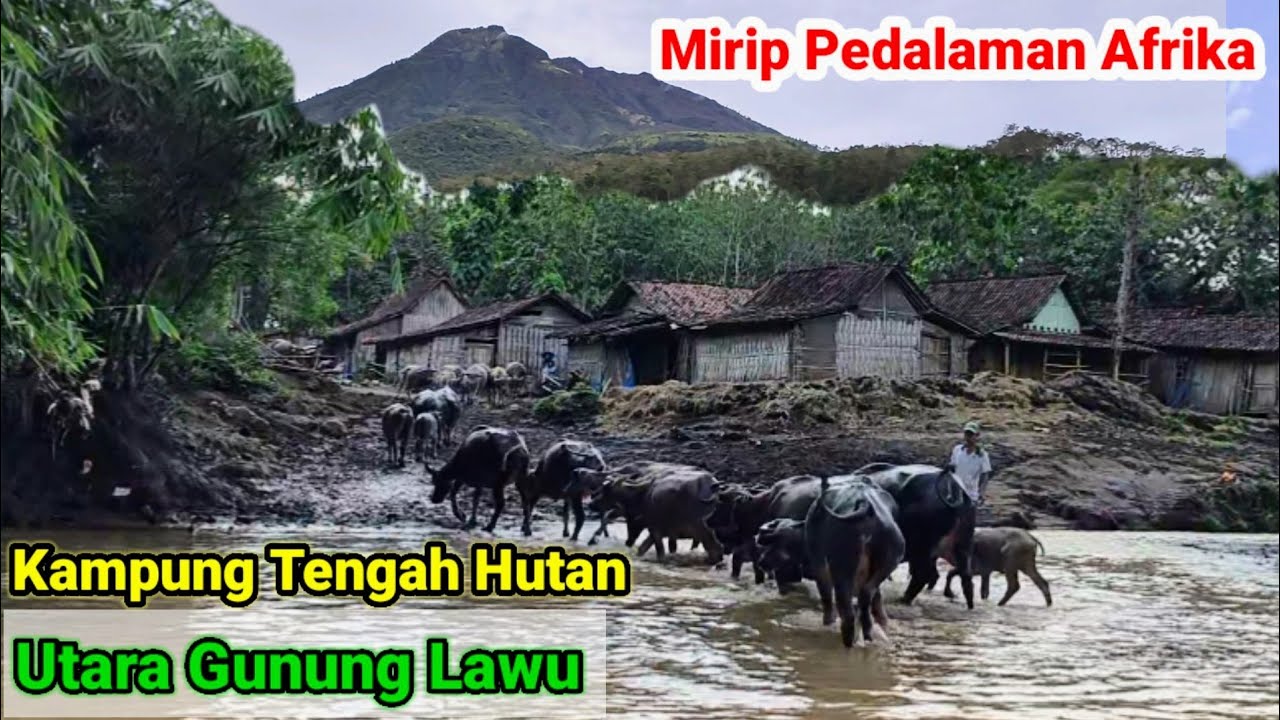 Kampung Tengah Hutan Utara Gunung Lawu Sisi Ngawi