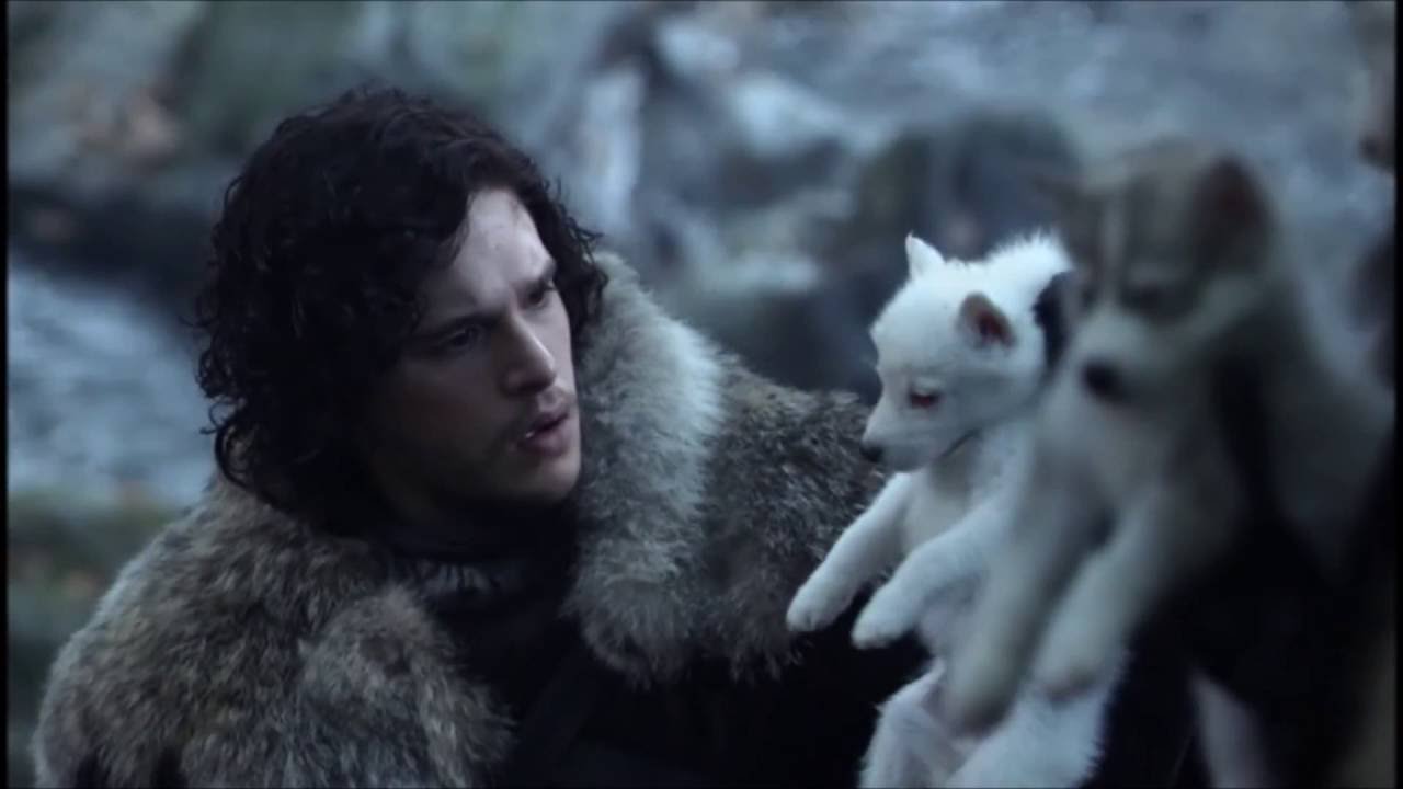 Game of Thrones. S1E1. Direwolf Pups
