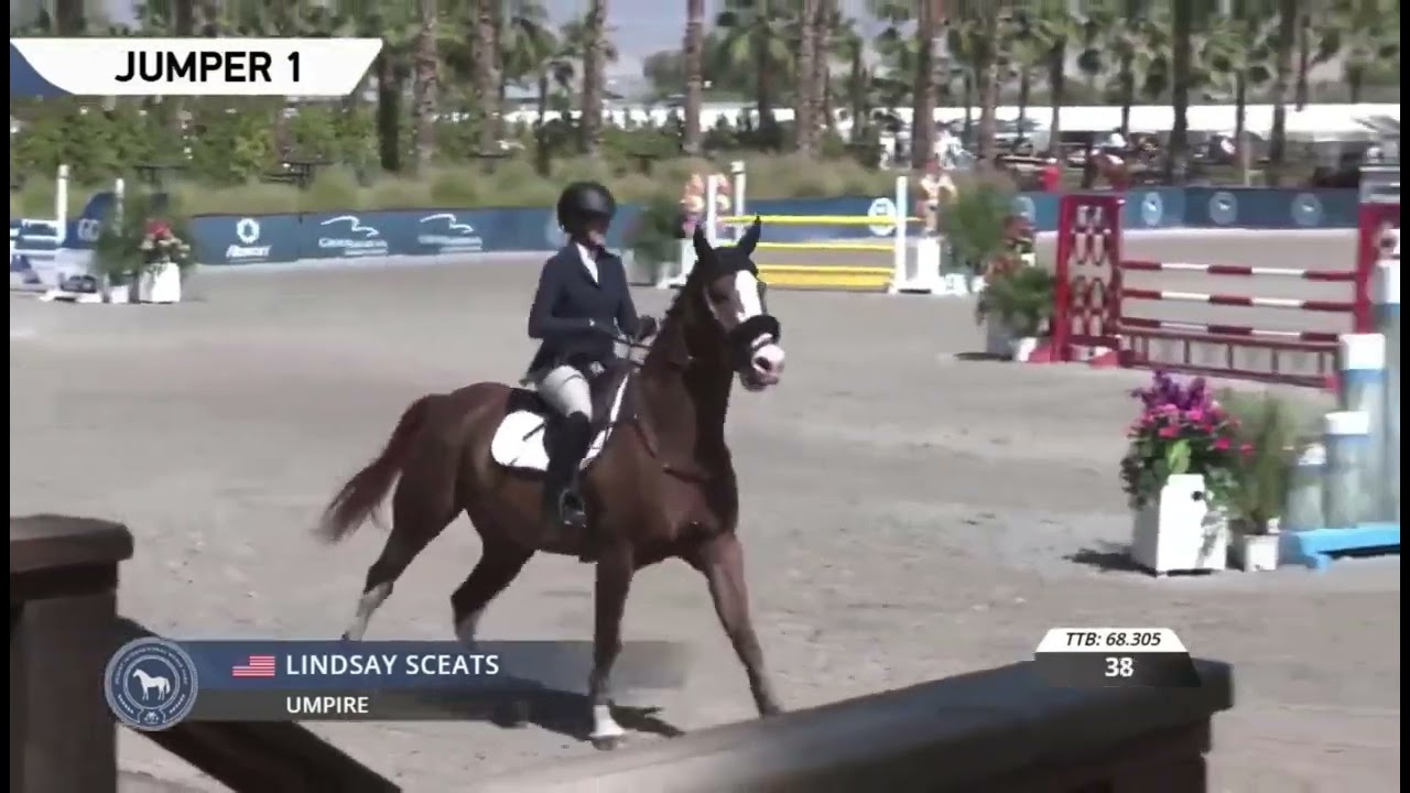 Umpire 1.15m DIHP 2026 Dulf van den Bisschop x Lancelot