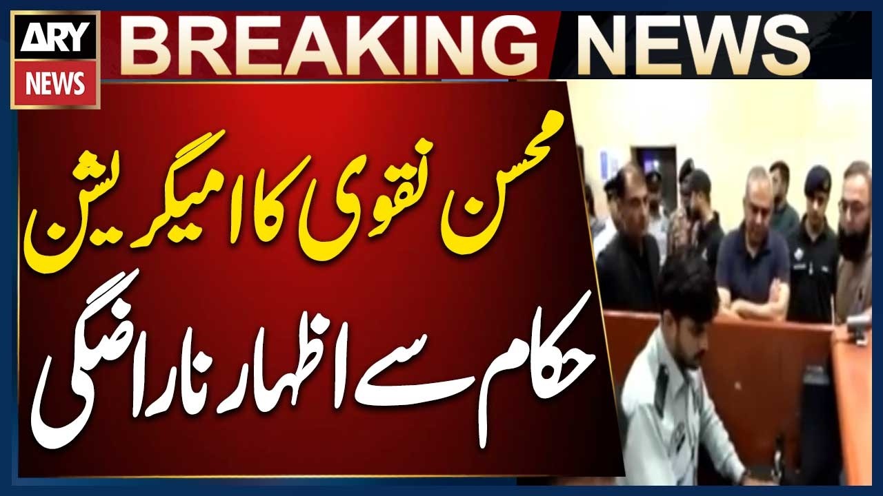 Interior Minister Mohsin Naqvi Expresses Anger Over Immigration System