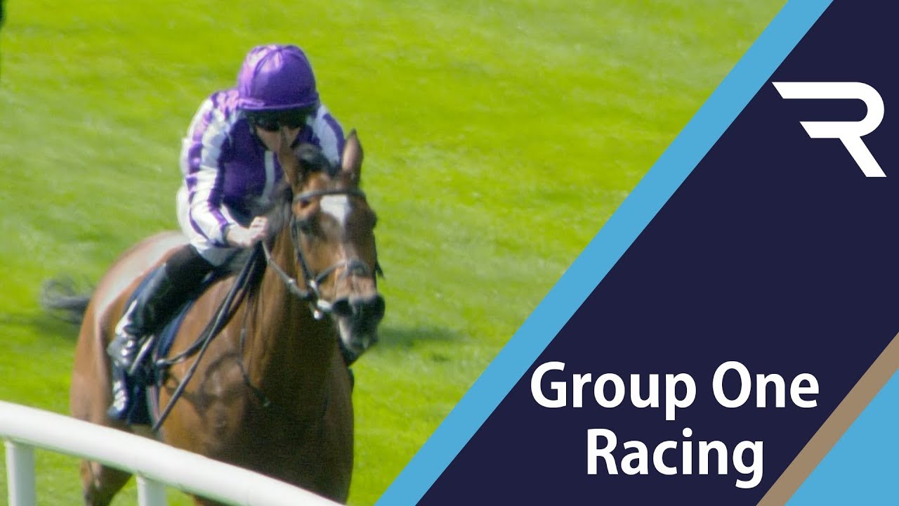 2019 Tattersalls Gold Cup - Racing TV