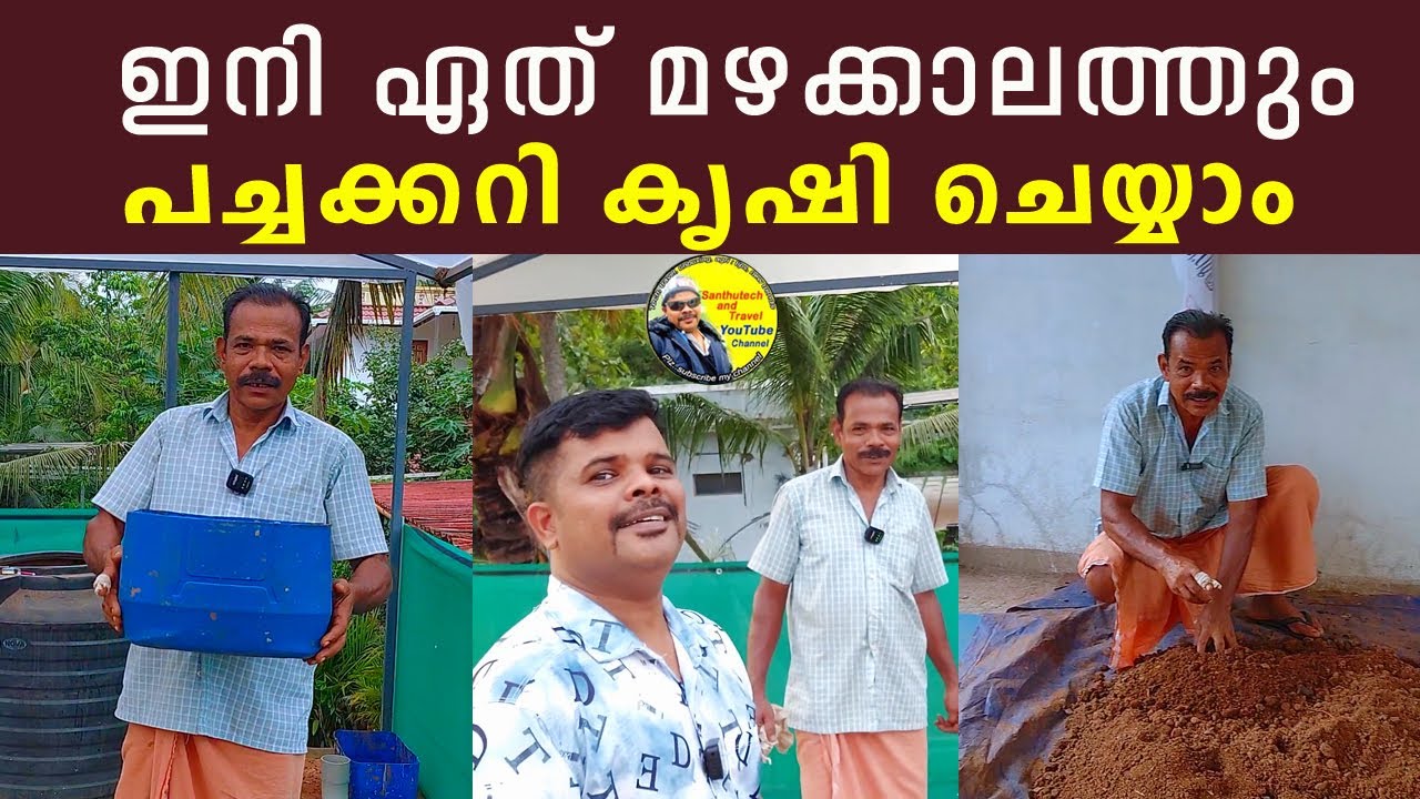 ഏത് മഴക്കാലത്തും പച്ചക്കറി കൃഷി ചെയ്യാം | How to cultivate vegetables in monsoon season