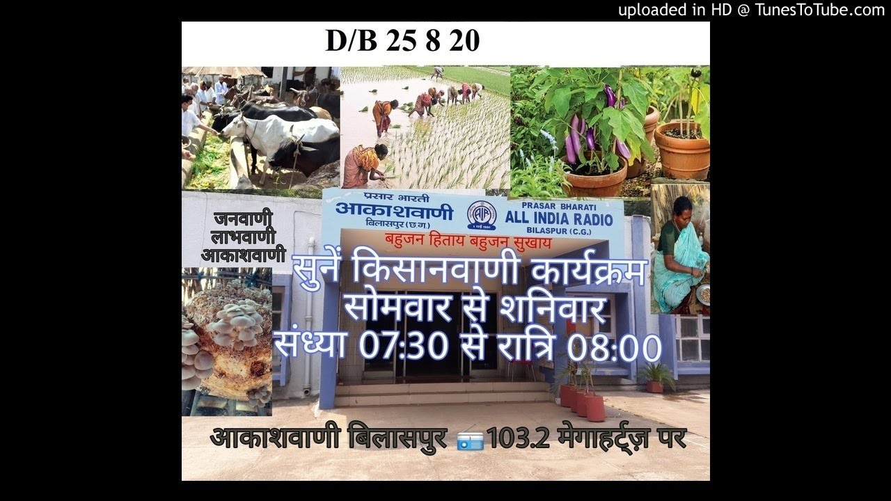 kisanwani 25 8 2020