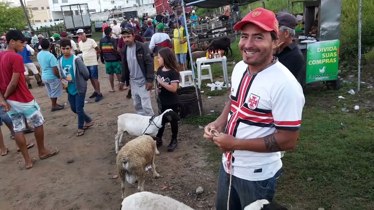Feira de Caprinos de Surubim Pernambuco 19 de julho de 2024.
