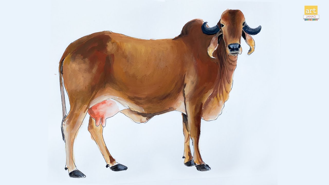How to Draw Gir Cow II Gir Cow Drawing II #artjanag