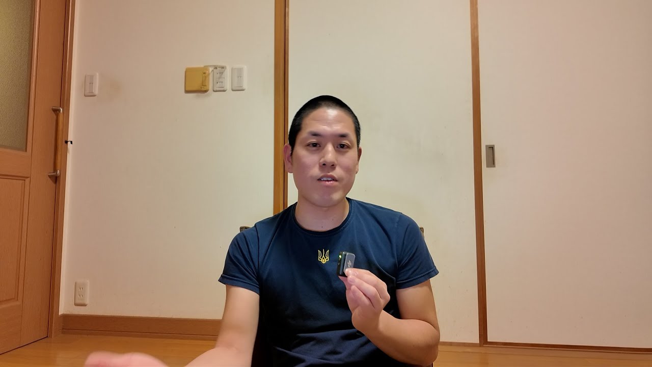 Pastebėjau vieną Lietuvos politikos problemą iš tų protestų kaip japonas