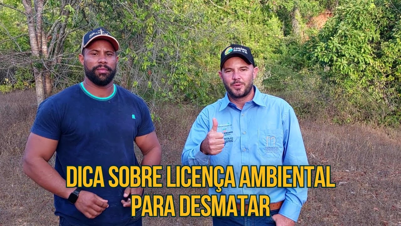 AUTORIZAÇÃO PARA SUPRESSÃO DE VEGETAÇÃO NATIVA EM MG | CANÁRIO IMÓVEIS RURAIS